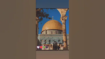 عالعهد ما زالت 