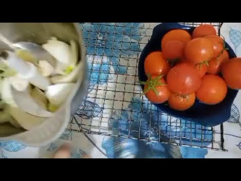 مراجعة تاريخ أولى ثانوي مقرر امتحان شهر نوفمبر