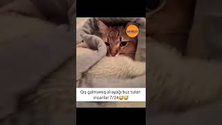 Whatsapp ucun maraqli,MƏNALI statuslar,status ucun videolar,QƏMLİ WHATSAPP STATUSLARI #shorts#keşfet
