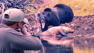 Лучшие клипы охоты на медведей, кабанов и койотов, смотреть весело