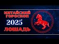 ЛОШАДЬ - Китайский гороскоп на 2025 год.  Год Змеи 2025