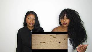 Playboi Carti - New Choppa Ft. Aap Rocky Reaction