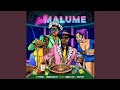 Saka Malume - Cyfred & Leemckrazy ft Tumelo_za & Sayfar (Official Audio)