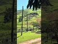 #fazenda #boa #vista