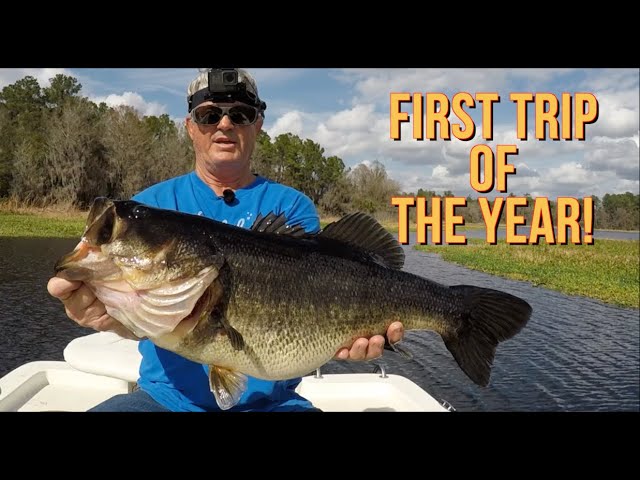Simple Worm and Jig Variations for Big Bass - Florida Sportsman