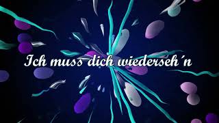 Video thumbnail of "Ich muss dich wiederseh'n (Die Paldauer) - Coverversion Schlagerburschi"