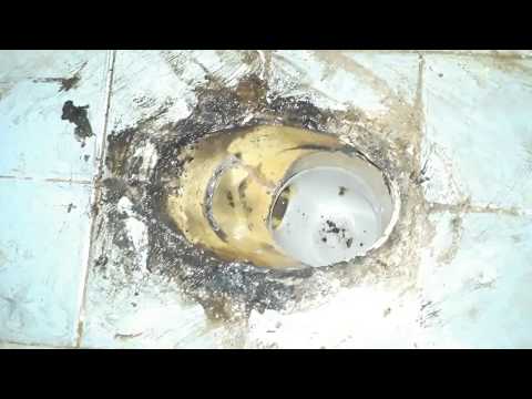 Video: ¿Pegas la brida del inodoro a la tubería de alcantarillado?