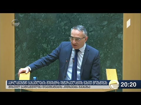 პარლამენტში განათლების მინისტრს ინტერპელაციის წესით მოუსმინეს