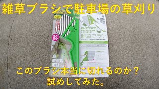 雑草ブラシ   本当に草が切れるのか? 試してみた。