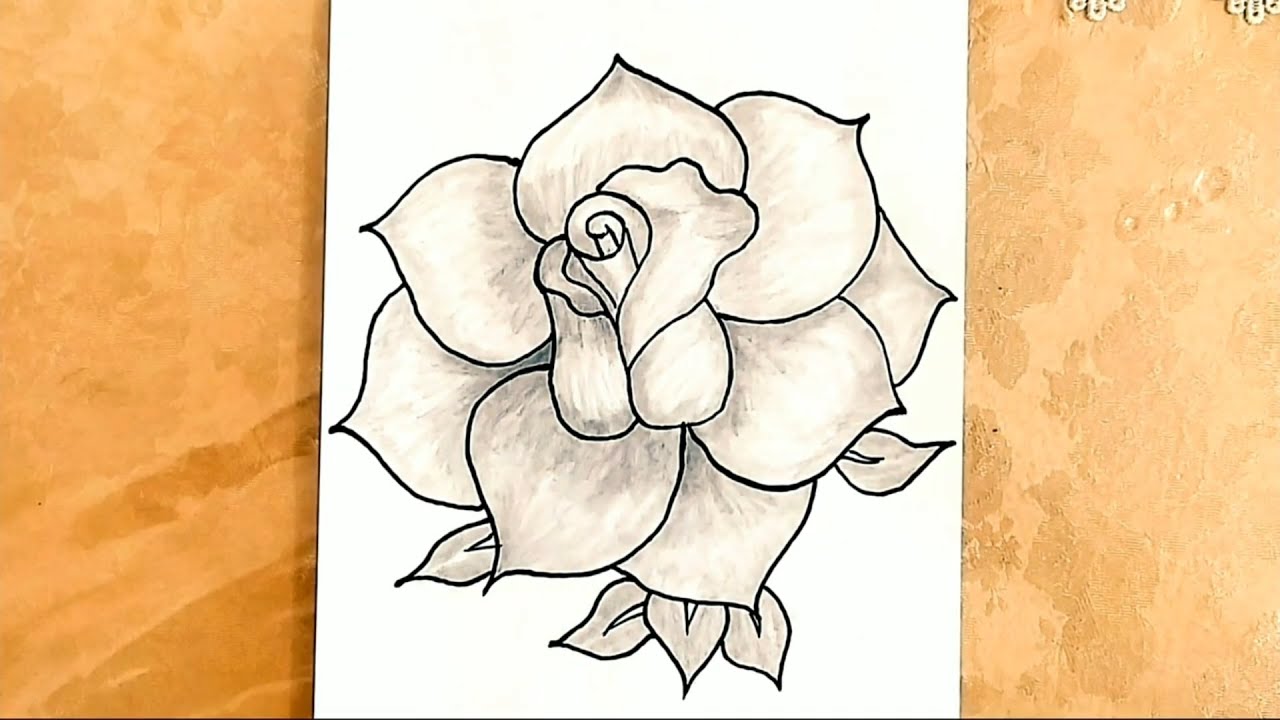 Qizilgul Sekli Cekmek Gul Cizimleri Sekil Cekmek Mektebeqeder Hazirliq Səkil Cəkmək Rose Drawings Youtube Qizilgul Sekli Cekmek Gul Cizimleri Sekil Cekmek Mektebeqeder Hazirliq Səkil Cəkmək Rose Drawings Youtube