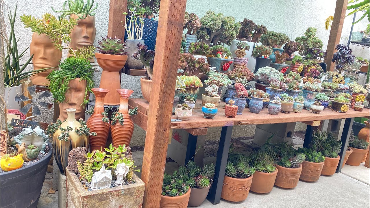 My #succulentgarden Tour 5/2023 w/ Some Changes- #vườnsenđá USA🤗❤️🌵🪴-Video #48
