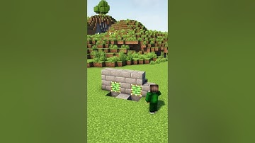 Double Block Swapper in Minecraft! #shorts