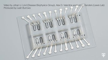 Scientists create first entirely 3D-printed, sensor integrated organ-on-a-chip