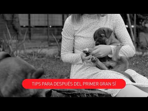 El primer gran sí fue solo el comienzo…