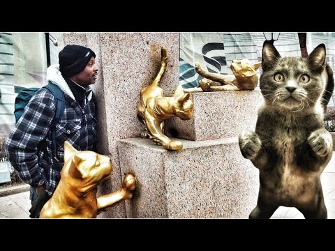 3 Interesting facts: Why Tyumen cats story amazed me | How the Soviet hid his body in Tyumen