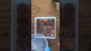 Pennys in Resin