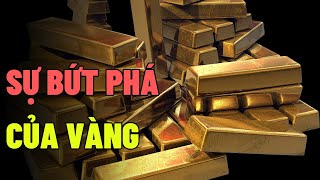 GIÁ VÀNG THẾ GIỚI CAO NHẤT 2 TUẦN, TRONG NƯỚC TRƯỢT KHỎI ĐỈNH. | E.Money24