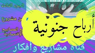 أرباح جنونية فهاد المشروع أي واحد حط إيدوا فهاد المشروع كيربح (الجزء الثالث )