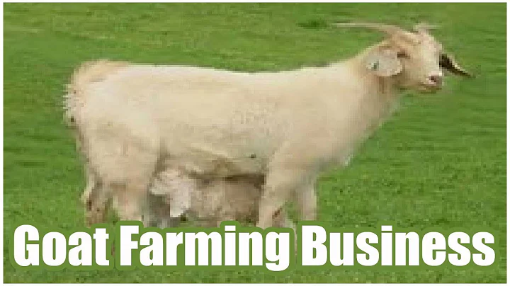 Goat Farming As A Profitable Business