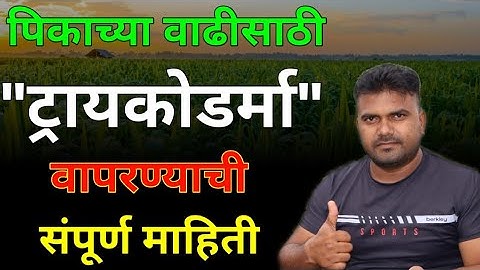 🛑 ट्रायकोडर्मा बुरशी चा वापर कसा कधी व किती करावा? || trichoderma burshicha vapar kasa karava