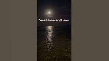 الشيخ ياسر الدوسري يسمع آيات الله #foryou #اكسبلور #المصحف #foryou #fypシ゚viral #fyp #jeddah