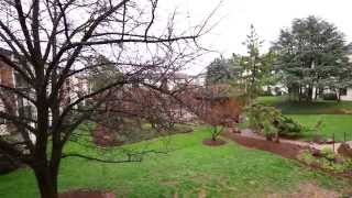 617 Center St #104 Herndon VA / MRIS# FX8313171