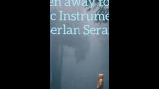 I' ve been away too long....  Music by Berlan. Seran  Seorang Tuna Netra Asal Kota Kupang... 👌👌