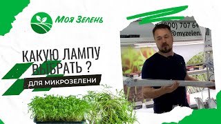 Как выбрать лампу для микрозелени