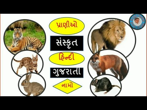 Animal name is sanskrit || પ્રાણીઓ સંસ્કૃત માં ||