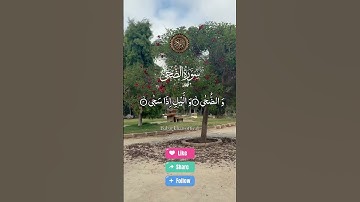 #سورة_الضحى والضحى والليل اذا سجى #عبد_الباسط_عبد_الصمد #قرآن #قران_كريم #راحة_نفسية #اكسبلور #لايك