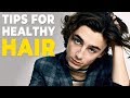 7 HEALTHY HAIR TIPS FOR MEN | Men's Hairstyle Tips 2020 | Alex Costa