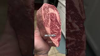 Doctor DESTROYS The Vegan Diet -- And Why It's Damaging Your Brain