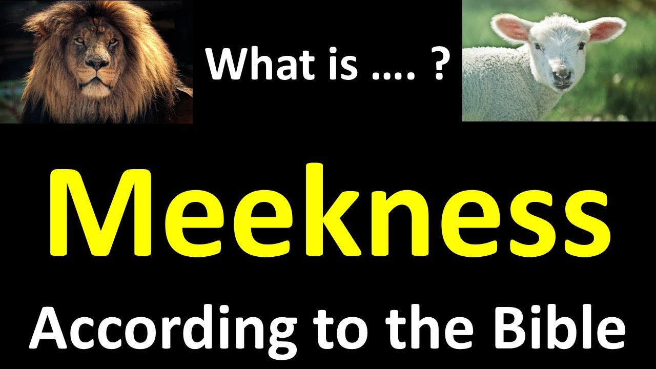 Meekness What The Bible Really Teaches And Why Every Christian Must meekness-what-the-bible-really-teaches-and-why-every-christian-must