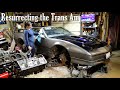 Bringing the Trans Am Back to Life
