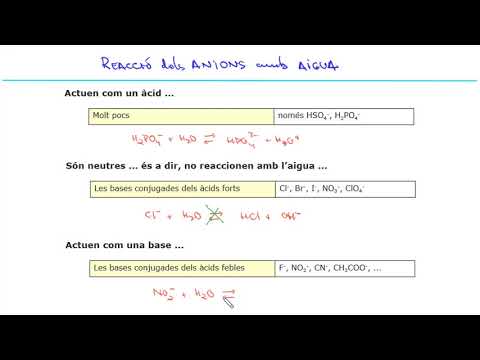 Vídeo: Què és la reacció d'hidròlisi?