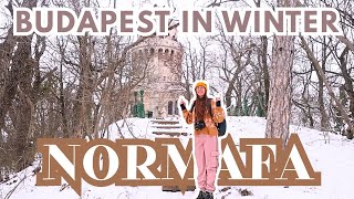 What to do in BUDAPEST when It SNOWS ❄️ a local's winter vlog at Normafa, Budapest