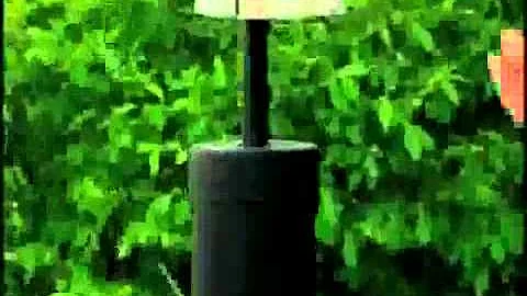 Bird Man Mel  Attracting Bluebirds