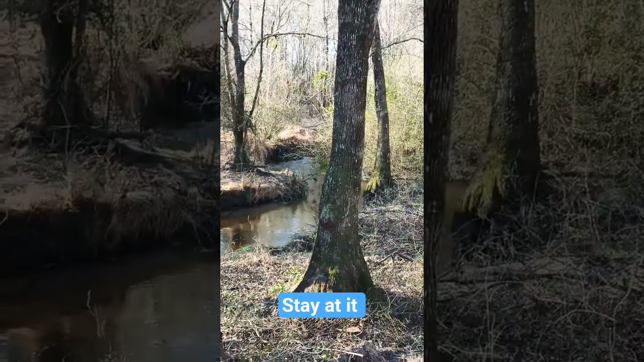 продолжай в том же духе