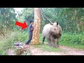 7 Incroyables Rencontre avec un Rhinocéros qui vous feront Frissonner !