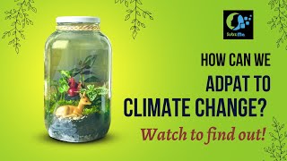 4 Ways we can adapt to Climate Change | SubzMa