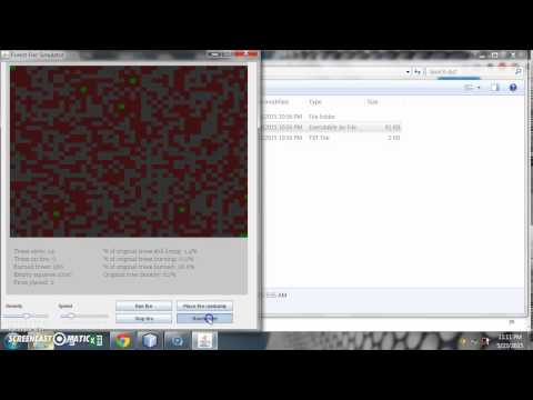 Forest Fire Simulation