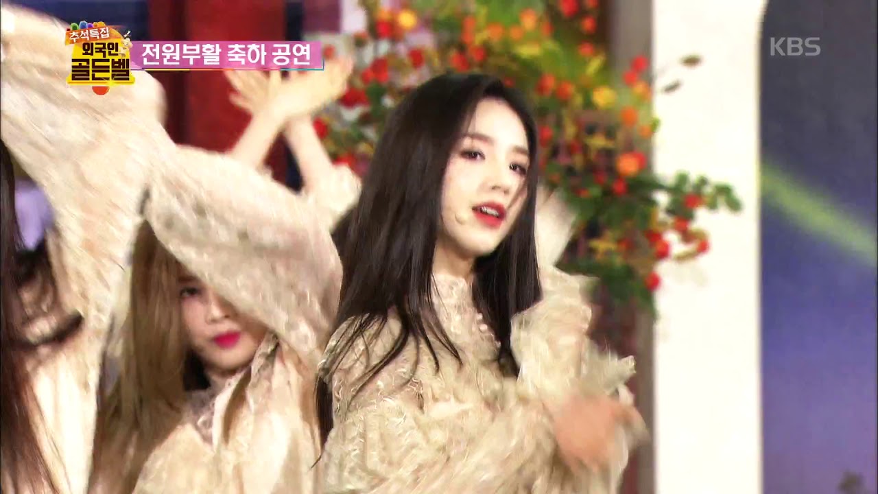 ★전원 부활 축하 공연★ 이달의 소녀 - Butterfly♪ [도전 골든벨, Golden Bell] 20190915