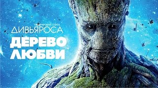 ДИВЬЯРОСА. Дерево любви. Видео от наших друзей JIVA FILMS