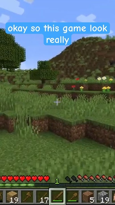 First Time Play Minecraft Java Edition - Minecraft Looks Better On Java ...