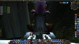 Classic WoW 1-60 Solo WR Highlight: Darkshore to Shatterspear skip