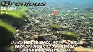 【ブレニアス】 bms. 55S 水中動画