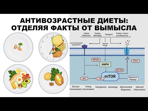 АНТИВОЗРАСТНЫЕ ДИЕТЫ: ОТДЕЛЯЯ ФАКТЫ ОТ ВЫМЫСЛА