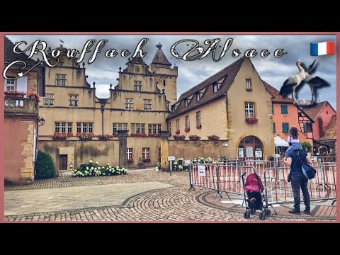 Rouffach - Walk in Alsace France village | เที่ยว ฝรั่งเศส นกกระสาขายาว บนหลังคาบ้าน