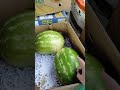 18 мая 2022 г.(3) цены арбузы фрукты