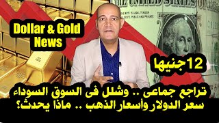 تراجع جماعى وشلل فى السوق السوداء | تطورات سعر الدولار و أسعار الذهب فى مصر Dollar & Gold News